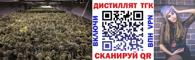 где найти   Северская  ТГК THC oil 