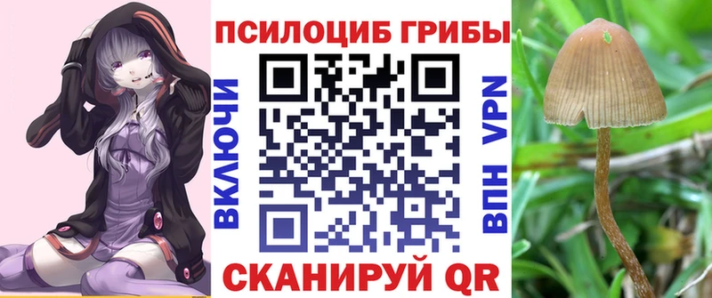 хочу Северская Галлюциногенные грибы мицелий